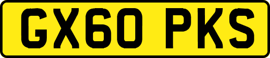 GX60PKS
