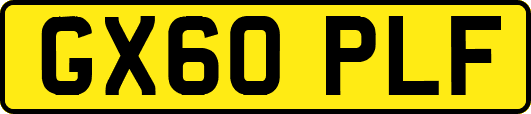 GX60PLF