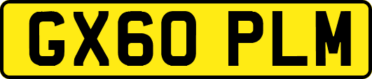 GX60PLM