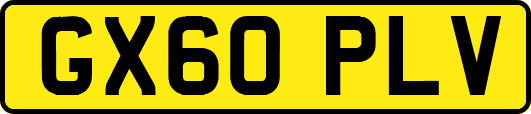 GX60PLV