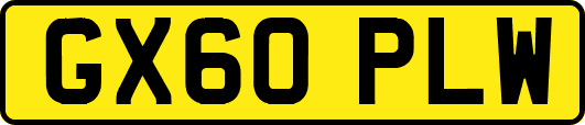 GX60PLW