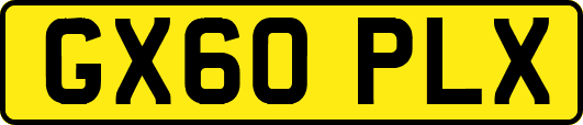GX60PLX