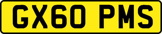 GX60PMS