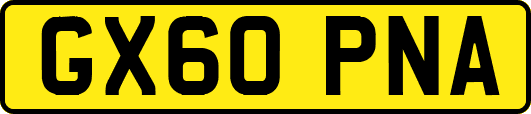 GX60PNA