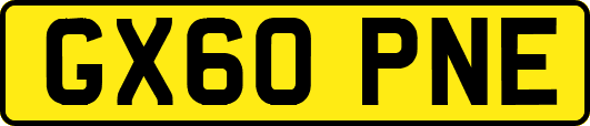 GX60PNE