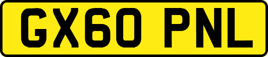 GX60PNL