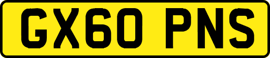 GX60PNS