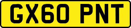 GX60PNT
