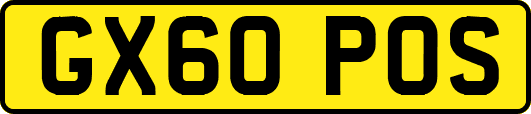 GX60POS