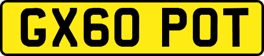 GX60POT