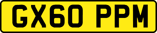 GX60PPM