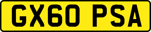 GX60PSA
