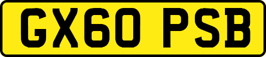 GX60PSB