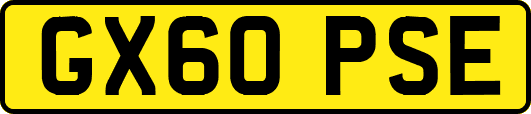 GX60PSE