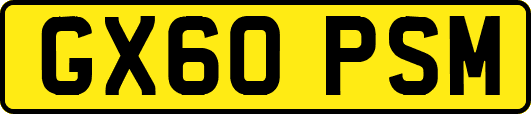 GX60PSM