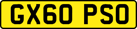 GX60PSO