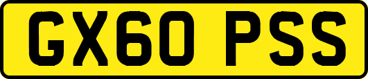 GX60PSS