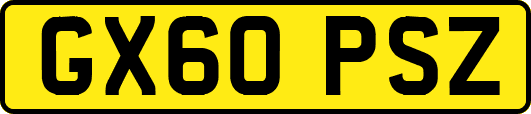 GX60PSZ