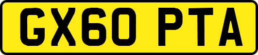 GX60PTA