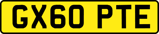 GX60PTE