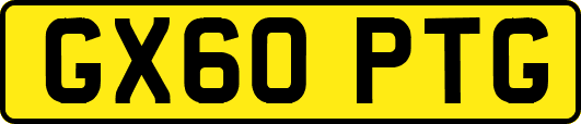 GX60PTG