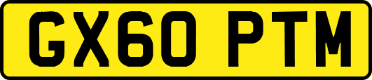 GX60PTM