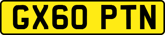 GX60PTN
