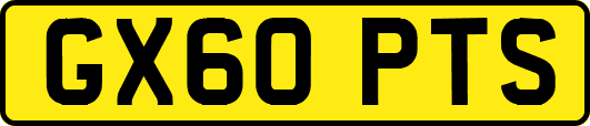 GX60PTS
