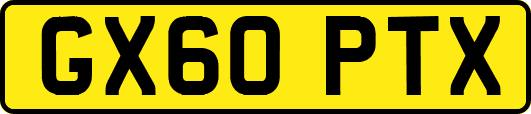 GX60PTX