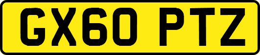 GX60PTZ