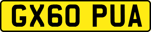 GX60PUA