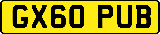 GX60PUB