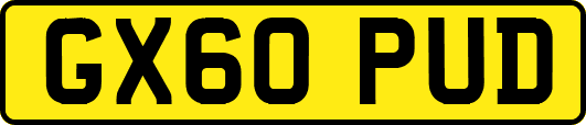GX60PUD