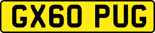 GX60PUG