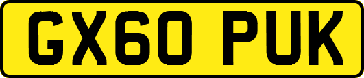 GX60PUK