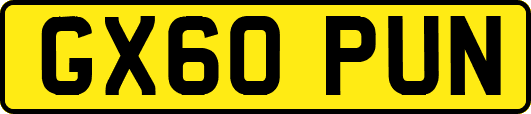 GX60PUN