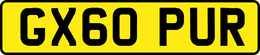 GX60PUR