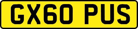 GX60PUS