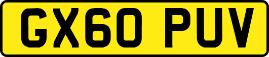 GX60PUV