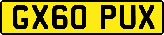 GX60PUX