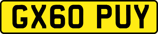 GX60PUY