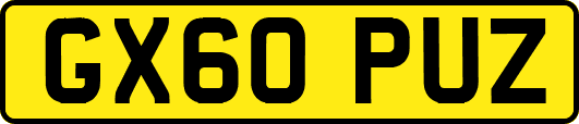 GX60PUZ