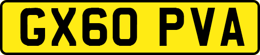 GX60PVA