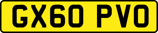 GX60PVO