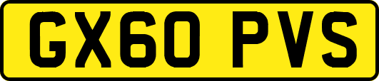 GX60PVS