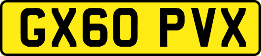 GX60PVX
