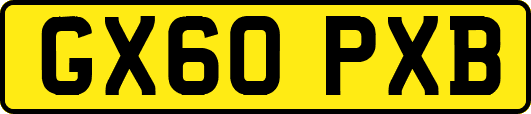 GX60PXB