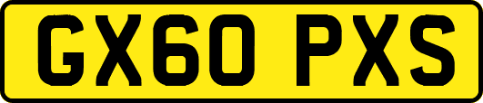 GX60PXS