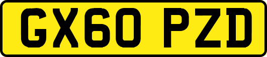 GX60PZD