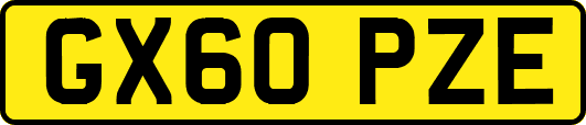 GX60PZE